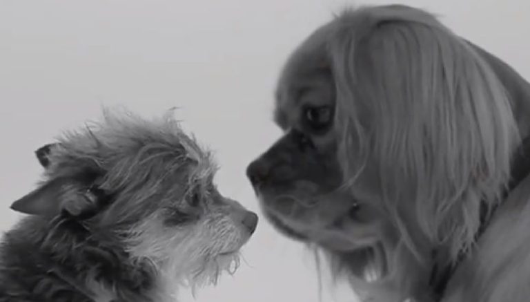 "First Kiss" : les parodies all&eacute;chantes de la vid&eacute;o