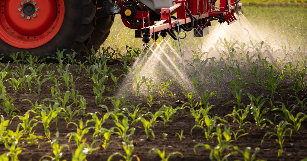 « Une machine à cancer » : ce pesticide, interdit et dangereux selon les scientifiques, réintroduit suite au vote des députés