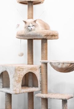 N&deg;1 des ventes et &agrave; moins de 50 euros, cet arbre &agrave; chat va d&eacute;cupler le bien-&ecirc;tre de votre f&eacute;lin