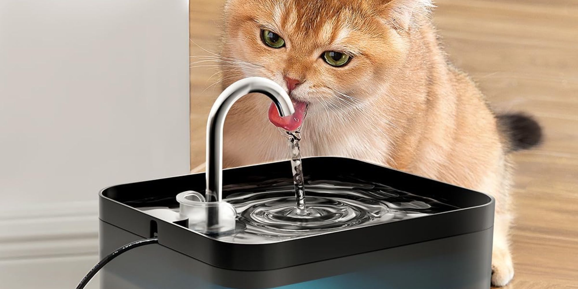 Propriétaires de chats, cette fontaine à eau à moins de 20 euros fait sensation sur Amazon